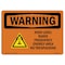 Signmission OSHA Warning Sign, 18" Height, 24" Width, High Level Radio Frequency Energy With Symbol, Landscape OS-WS-D-1824-L-12173 - alternate 1
